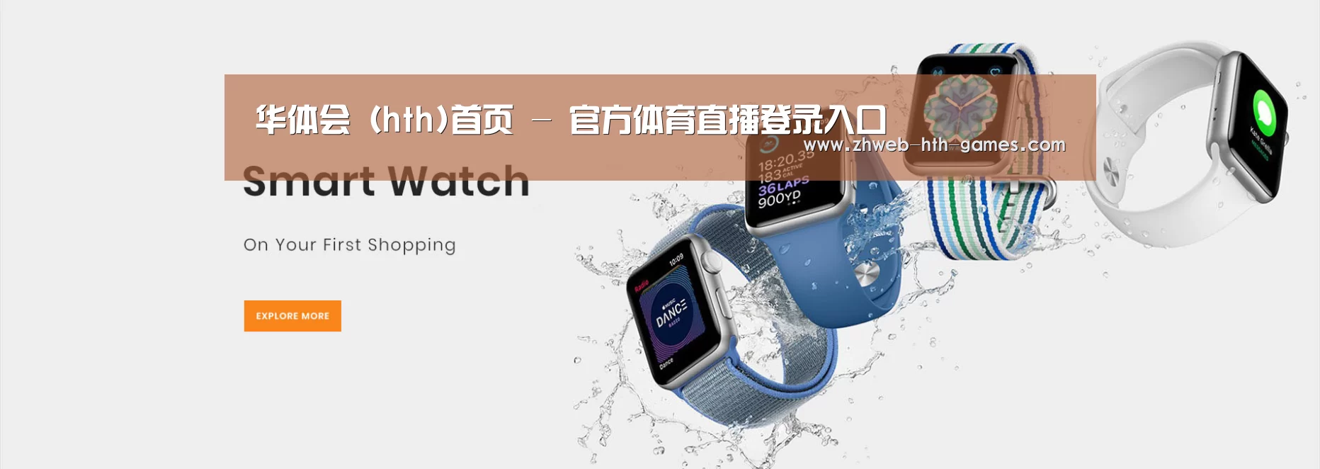 某某网络科技有限公司