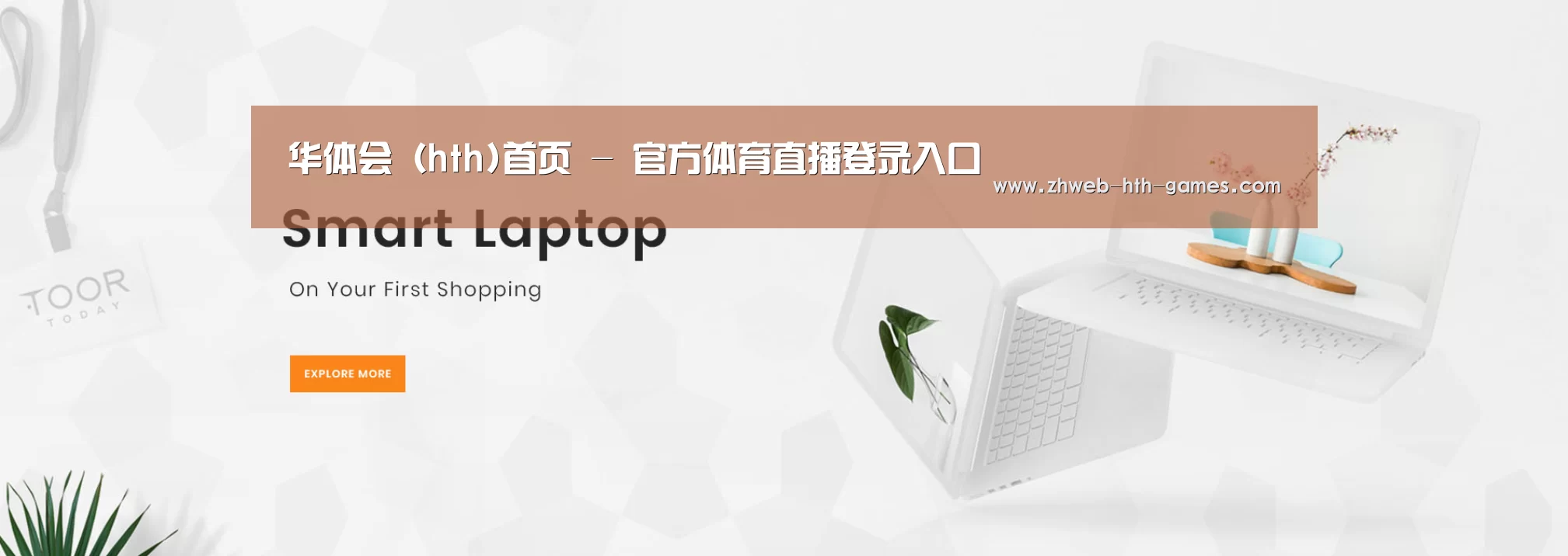 某某网络科技有限公司