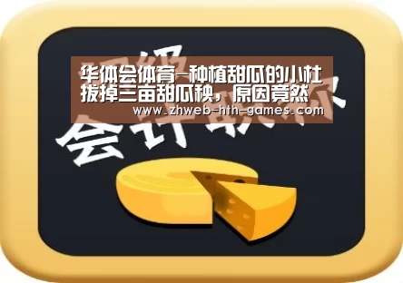 华体会体育
