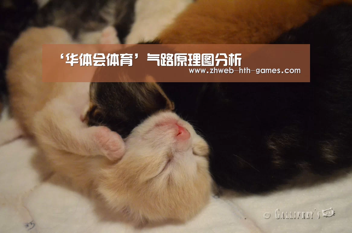 华体会体育