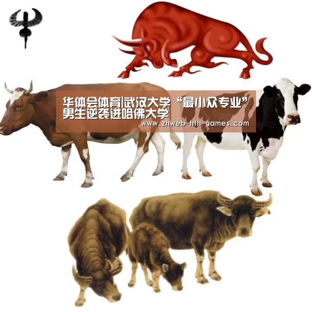 华体会体育