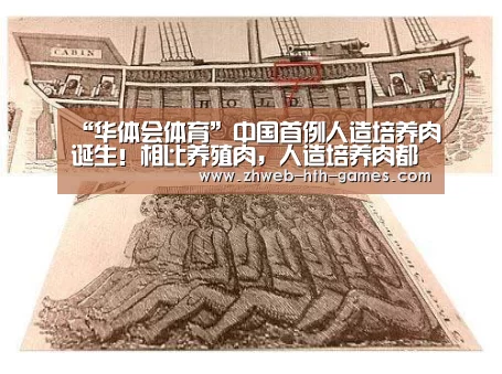 华体会体育